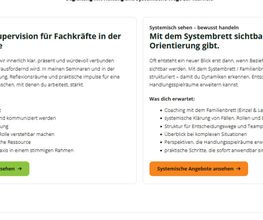 Website 2.png