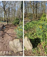 Lechatreux Entretien image 3