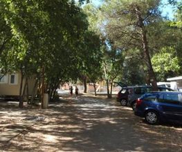 Les Micocouliers image 5