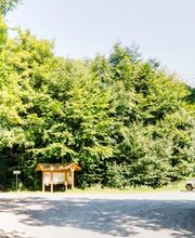 FriedWald Hasbruch Bild 13