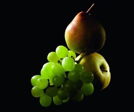 TRANSGOURMET image 15
