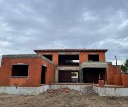 Bano Thierry image 5