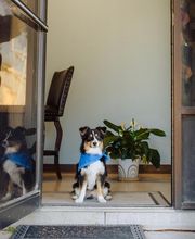 Harley's Heating & Air Conditioning image 6