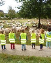 Humankind - Kinderdagverblijf Sesamkids afbeelding 1