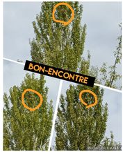 CLG Nuisibles image 13