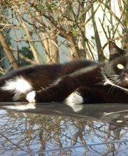 Foto Wendling Bild 1