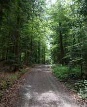 Camping Erbenwald Bild 6