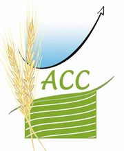Acti Compta Conseil image 2