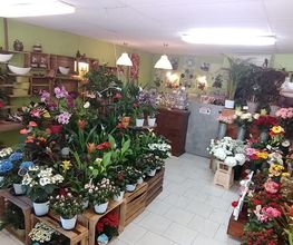 Le Jardin de Stelly image 4