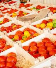 André Claude image 4