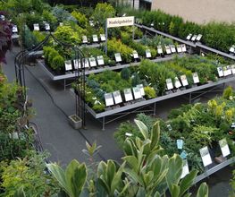 Gartenfachmarkt Zschopauer Straße Bild 4
