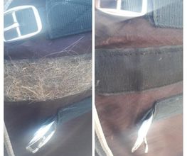 Equi'lavage image 5