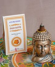 Le Repasseur image 4