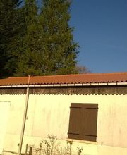 Tfbat Coignoux image 5