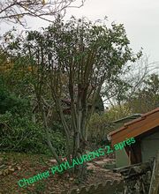 Branch' & Paysages Eirl Martin Pierre image 2