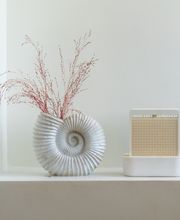salino-insta-1209.jpg