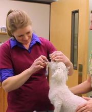 Carbon County Veterinary Hospital image 5