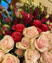 Fleur Evasion Sàrl Bild 3