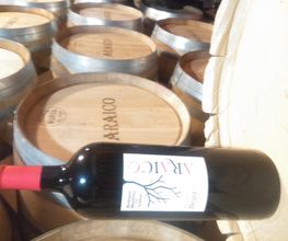 Bodegas araico imagen 1