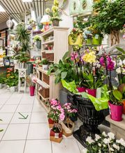 Duthil Sandrine image 18