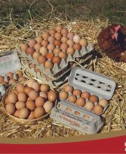 Siemer's Hofladen Bild 2