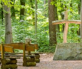 Andachtsplatz FriedWald Borchen-Nonnenbusch im Sommer