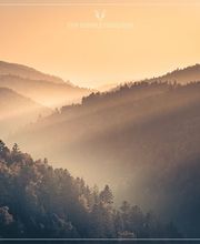 Dirk Doebele Fotografie Bild 9