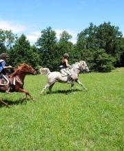 Equiloisirs image 14