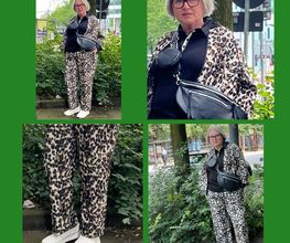 Lady Chic Plus Size Mode