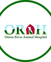 Onion River Animal Hospital image 5