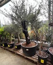 Bricomarché Chauny image 3