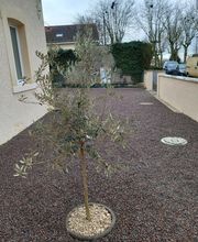 MT Creation Amenagement Paysager image 1