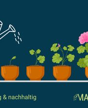 Langfristige nachhaltige Suchmaschinenoptimierung (SEO)