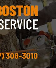 Greater Boston Tree Service image 1