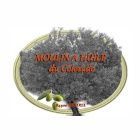 MOULIN A HUILE DU COLORADO DE RUSTREL - SARL SRTPA