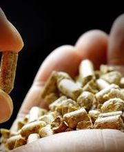 Transerrasol imagen 5