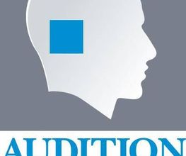 Audition Conseil image 6