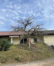 Alain Dutoit Jardinier-Paysagiste Sàrl Bild 5