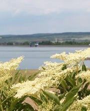 Restaurant Seeblick Bild 3