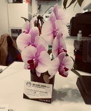 Euromaster Milano 2000 immagine 8