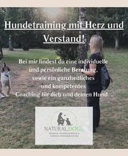 natural.dogs. Bild 4