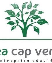 EA Cap Vert image 1