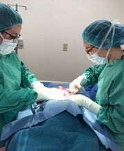 Briar Patch Veterinary Hospital image 3