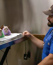 Wewoka Animal Hospital image 4