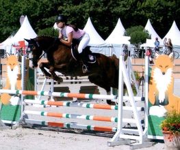 Centre Equestre de Mosnet image 9