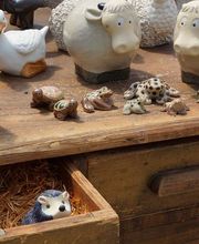 Pflanzencenter Fehr Bild 2