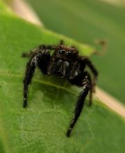 CIADIT SUISSE SA Bild 8