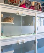 Clinique vétérinaire de Saint-Affrique - Sevetys image 6