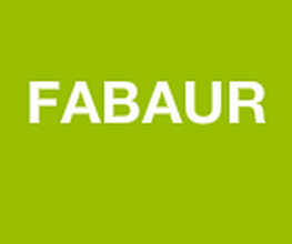 Fabaur image 4