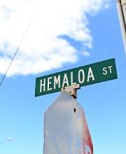 Avis Car Rental image 6